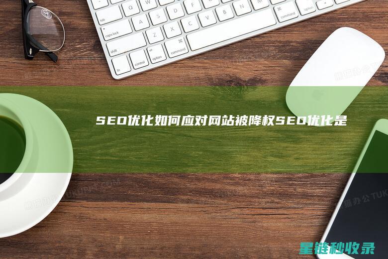 SEO优化：如何应对网站被降权 (SEO优化是什么意思)