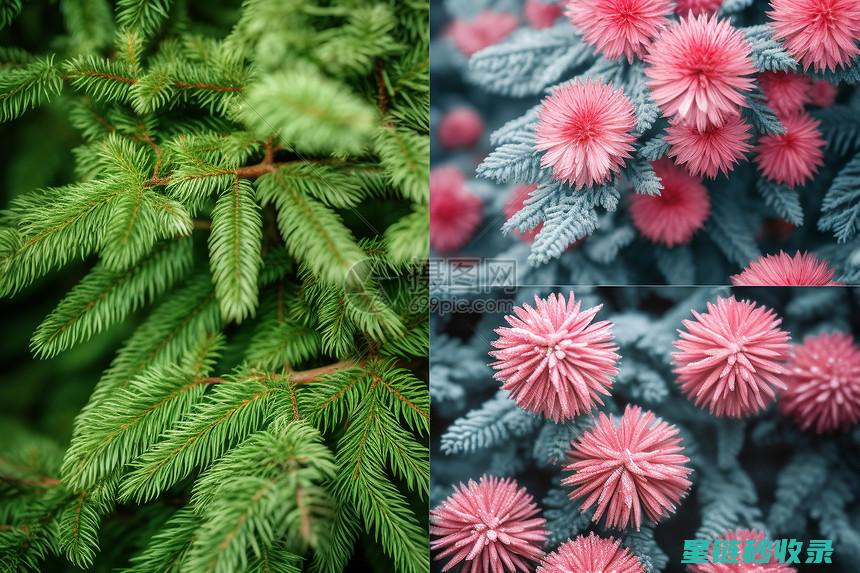不同季节植物修剪指南，轻松打造美丽庭院 (不同季节植物的变化)