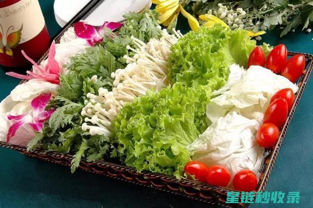 蔬菜保鲜秘籍：延长储存时间的实用技巧 (蔬菜保鲜秘籍大全)
