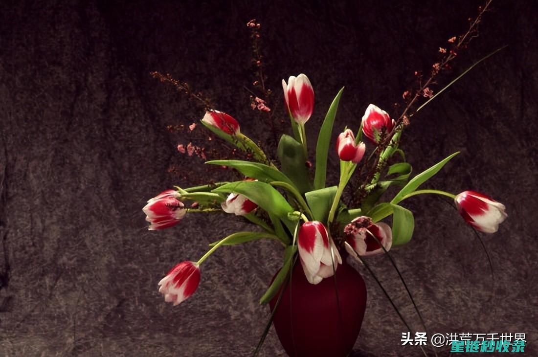 鲜花保鲜秘籍：延长美丽时光的小妙招 (鲜花保鲜秘籍有哪些)
