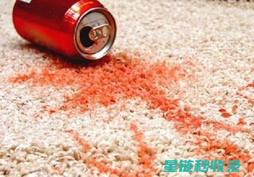 地毯污渍去除秘籍：从新手到专家的进阶之道 (地毯污渍去除小妙招)