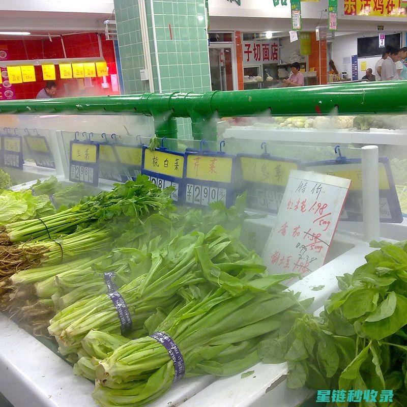 延长蔬菜保鲜期的实用技巧大揭秘 (延长蔬菜保鲜期的方法)