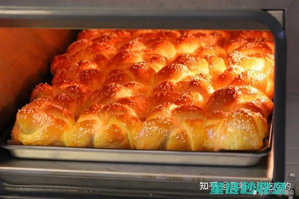 面包保鲜大法：延长面包保鲜期的有效方法 (面包保鲜方法)