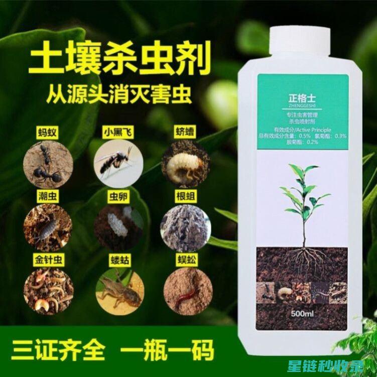 植物驱虫妙招：在家门口建立天然屏障 (植物驱虫妙招视频)