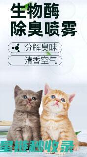 宠物异味去除：从根源上解决问题才是王道 (宠物异味去除公司)