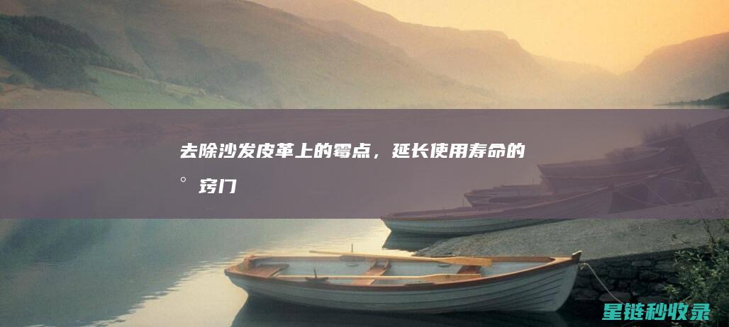 去除沙发皮革上的霉点，延长使用寿命的小窍门 (去除沙发皮革味道的方法)