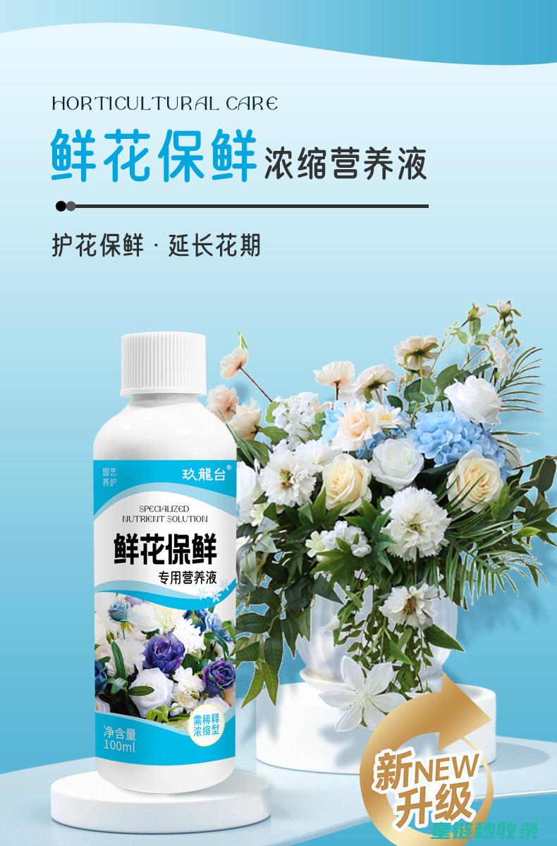 延长鲜花花期：家庭园艺中的小窍门 (延长鲜花花期的方法)
