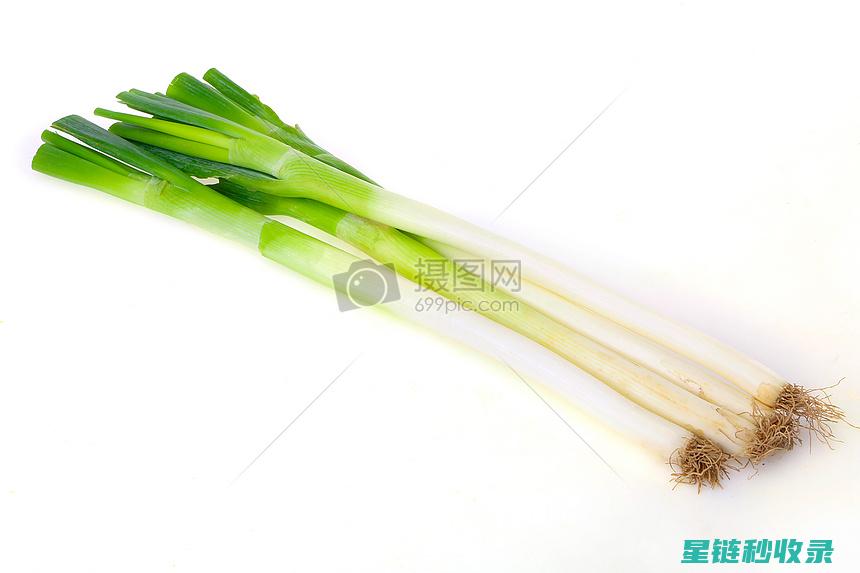 大葱储存全解析：延长葱叶寿命的秘密武器 (大葱 储存)