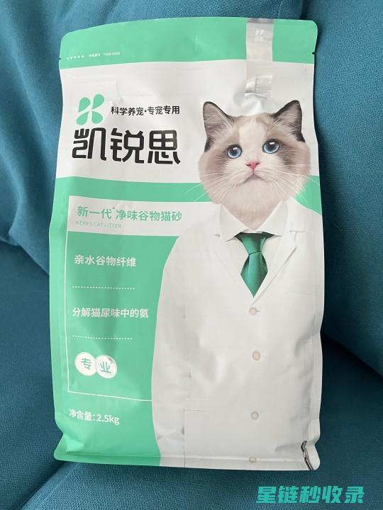 猫砂除臭大揭秘：从传统到创新 (猫砂除臭效果)